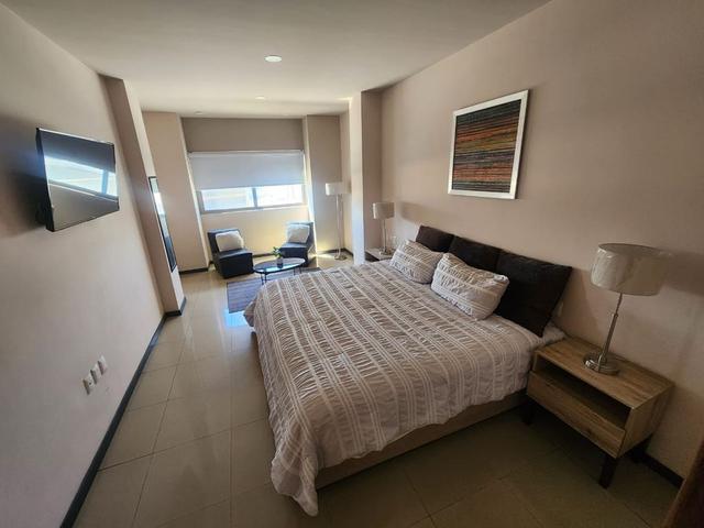 Foto de la galeria de imagenes