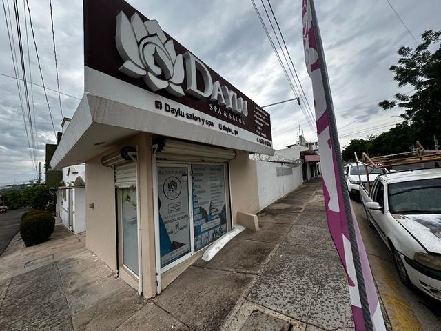 Foto de la galeria de imagenes
